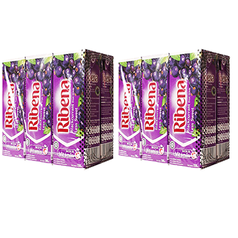 Ribena Blackcurrant (TET)-12x1L01